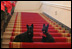 Barney and Miss Beazley sit on the Grand Staircase at the White House, Thursday, Nov, 30, 2006, deciding whether to begin touring the Christmas decorations upstairs or downstairs.