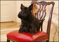 Barney listens to President George W. Bush during a meeting in the Oval Office, Friday, Dec. 1, 2006, to discuss plans for the 2006 Barney Cam.