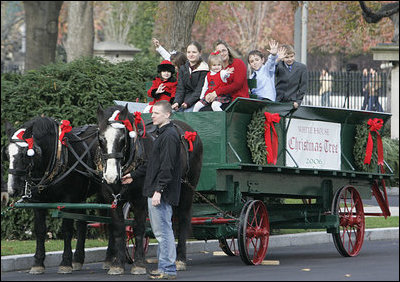 A horse-drawn wagon carrying the official White House Christmas tree is guided up the White House driveway Monday, Nov. 27, 2006, by members of the Botek family of Lehighton, Pa. The Botek family owns Crystal Springs Tree Farm and donated the 18-foot Douglas fir tree. 