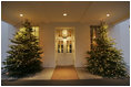 Sheltered from any possible winter snow beneath the West Wing lobby entrance, two trees glow with warm hospitality for all visitors this holiday season.