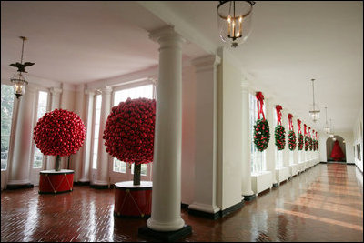 The East Colonnade is lined with wreaths and accented with red, glass ornaments. This year more than 269 wreaths and 4,638 red ornament balls were hung in the White House. Hundreds of the polished glass spheres were used to create shiny tree sculptures.