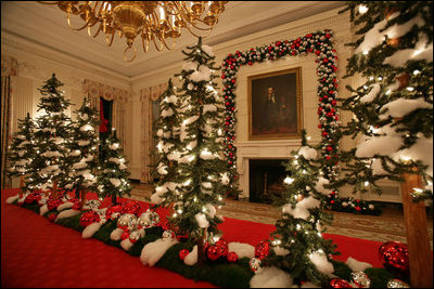 A row pine of trees line the center table of the State Dinning Room where 20,000 Christmas cookies, 15,000 Chocolate Truffles, 3,000 racks of lamb, 500 Filets of Beef, and will be served to the 45,000 guests visiting the White House during the Holiday season.