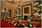 A row pine of trees line the center table of the State Dinning Room where 20,000 Christmas cookies, 15,000 Chocolate Truffles, 3,000 racks of lamb, 500 Filets of Beef, and will be served to the 45,000 guests visiting the White House during the Holiday season.