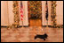 Miss Beazley runs through the Cross Hall on the State Floor of the White House, Wednesday, Nov. 28, 2007, to see the decorations in the State Dining Room.