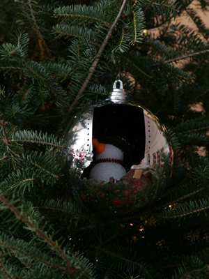 Indiana Congressman Brad Ellsworth selected artist John Dawson to decorate the 8th District's ornament for the 2008 White House Christmas Tree. 