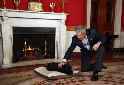 President George W. Bush pets Barney during the filming of BarneyCam VII: A Red, White and Blue Christmas in the Red Room Nov. 29, 2008 at the White House. 