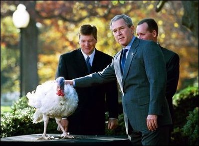 President George W. Bush pardons the Thanksgiving turkey during a Rose Garden ceremony Monday, Nov. 24, 2003. "I appreciate you joining me to give this turkey a presidential pardon," said the President in his remarks. "Stars is a very special bird with a very special name. This year, for the first time, thousands of people voted on the White House website to name the national turkey, and the alternate turkey. Stars and Stripes beat out Pumpkin and Cranberry. And it was a neck-to-neck race." 