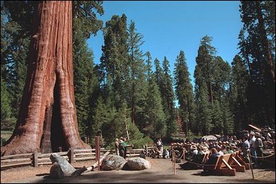 President George W. Bush delivers remarks at Sequoia National Park in California May 30, 2001. .Our duty is to use the land well, and sometimes, not to use it at all. This is our responsibility as citizens; but, more than that, it is our calling as stewards of the Earth,. said the President. .Good stewardship of the environment is not just a personal responsibility, it is a public value. Americans are united in the belief that we must preserve our natural heritage and safeguard the land around us.