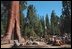 President George W. Bush delivers remarks at Sequoia National Park in California May 30, 2001. .Our duty is to use the land well, and sometimes, not to use it at all. This is our responsibility as citizens; but, more than that, it is our calling as stewards of the Earth,. said the President. .Good stewardship of the environment is not just a personal responsibility, it is a public value. Americans are united in the belief that we must preserve our natural heritage and safeguard the land around us.