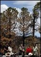 President George W. Bush talks about his Healthy Forests Initiative during a visit to the Coronado National Forest in Summerhaven, Ariz., with, from left, Incident Commander Dan Oltrogge, District Ranger Ron Senn, Secretary of Agriculture Ann Veneman, and Chief of the National Forest Service Dale Bosworth.  White House photo by Susan Sterner