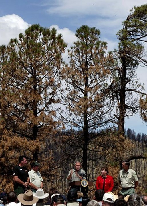 President George W. Bush talks about his Healthy Forests Initiative during a visit to the Coronado National Forest in Summerhaven, Ariz., with, from left, Incident Commander Dan Oltrogge, District Ranger Ron Senn, Secretary of Agriculture Ann Veneman, and Chief of the National Forest Service Dale Bosworth.  White House photo by Susan Sterner