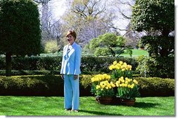 Laura Bush hosts a press preview of the White House Spring Garden Tour in the Jacqueline Kennedy Garden Friday morning, April 16, 2004. "I love this garden. I think the First Lady's Garden, Jacqueline Kennedy's Garden is so lovely," said Mrs. Bush to the press. "I particularly love the pavilion. And when the vines on top are thick, it's a shady spot to sit." The tour is open to the public Saturday and Sunday. Free, timed tickets are available at the Ellipse Visitor Pavilion located at 15th and E Streets on both tour days beginning at 7:30 a.m.  White House photo by Susan Sterner