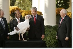 President George W. Bush and Vice President Dick Cheney participate in the annual pardoning of the National Turkey in the Rose Garden Nov. 17, 2004. "We are a nation founded by men and women who deeply felt their dependence on God and always gave Him thanks and praise. As we prepare for Thanksgiving in 2004, we have much to be thankful for: our families, our friends, our beautiful country, and the freedom granted to each one of us by the Almighty," said the President in his remarks.  White House photo by Paul Morse