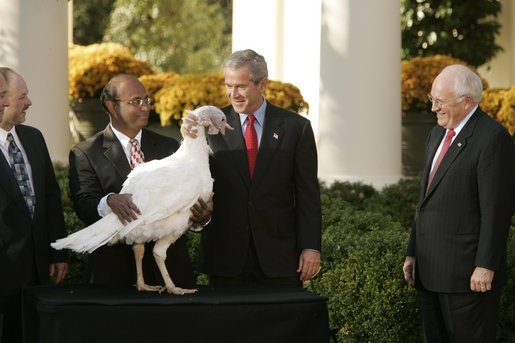 President George W. Bush and Vice President Dick Cheney participate in the annual pardoning of the National Turkey in the Rose Garden Nov. 17, 2004. "We are a nation founded by men and women who deeply felt their dependence on God and always gave Him thanks and praise. As we prepare for Thanksgiving in 2004, we have much to be thankful for: our families, our friends, our beautiful country, and the freedom granted to each one of us by the Almighty," said the President in his remarks. White House photo by Paul Morse.