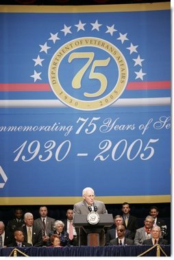 Vice President Dick Cheney addresses an audience, Thursday, July 21, 2005 at Constitution Hall in Washington, during the 75th anniversary celebration honoring the creation of the Department of Veterans Affairs.  White House photo by Paul Morse