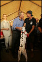 President Bush talks with firefighter Gary Garwood of Pleasantview, Ill., and Louie, who was rescued by Garwood, a first-responder in Hurricane Katrina's aftermath, and renamed for the state of Louisiana. The exchange came as the President visited a base camp in Algiers, La., Sunday, Sept. 11, 2005, during his return to the Gulf Coast. White House photo by Paul Morse