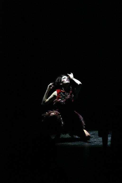 A performer is spotlighted during the opening ceremonies Friday, Nov. 4, 2005, of the Summit of the Americas in Mar Del Plata, Argentina. White House photo by Eric Draper