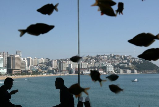 Summit-goers enjoy a beverage as they sit in the Chosun Westin Hotel in Busan, Korea Saturday, Nov. 19, 2005. In the background is Haeundae Beach and Suyeong Bay. White House photo by Paul Morse