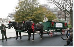 A U.S. Park Service officer helps guide a horse drawn carriage delivering the official White House Christmas tree, Monday, Nov. 28, 2005. This year's tree, donated by the Deal Family of Smokey Holler Tree Farm in Laurel Springs, N.C., is the 40th year the National Christmas Tree Growers Association has provided a tree to the White House.  White House photo by Shealah Craighead