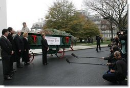 Laura Bush welcomes the arrival of the official White House Christmas tree delivered, Monday, Nov. 28, 2005, on a horse drawn wagon. This year's tree, donated by the Deal Family of Smokey Holler Tree Farm in Laurel Springs, N.C., is the 40th year the National Christmas Tree Growers Association has provided a tree to the White House.  White House photo by Shealah Craighead