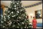 Laura Bush stands next to the Blue Room Christmas tree, Wednesday, Nov. 30, 2005, as she answers questions during the press preview of the White House Christmas decorations. White House photo by Shealah Craighead