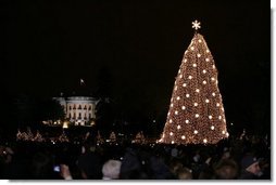 Crowds on the Ellipse watch the annual lighting of the National Christmas Tree in Washington, attended by President George W. Bush and Laura Bush, Thursday evening, Dec. 1, 2005, during the Pageant of Peace.  White House photo by Paul Morse