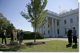 President George W. Bush and Laura Bush take part in the planting of three elm trees on the north grounds of the White House Monday, Oct. 2, 2006. The trees, cultivated by the National Park Service, replace trees recently lost to age, winds and Dutch elm disease. The new trees were grown to be resistant to the disease. White House photo by Eric Draper