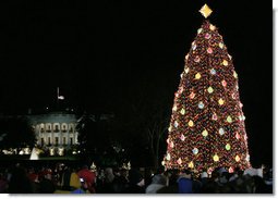 Crowds on the Ellipse in Washington, D.C., watch the annual lighting of the National Christmas Tree, attended by President George W. Bush and Laura Bush, Thursday evening, Dec. 7, 2006, during the 2006 Christmas Pageant of Peace. White House photo by Paul Morse