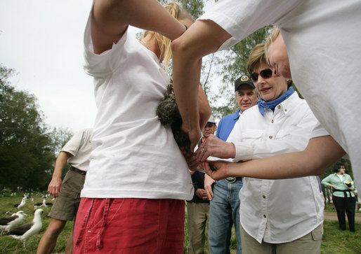 Mrs. Laura Bush tags an albatross chick during a visit to Midway Atoll Thursday, March 1, 2007. Interior Secretary Dirk Kempthorne is pictured with Mrs. Bush. President Bush designated the Northwest Hawaiian Islands National Monument on June 15, 2006, and is the single largest conservation area in U.S. history and the largest protected marine area in the world. White House photo by Shealah Craighead