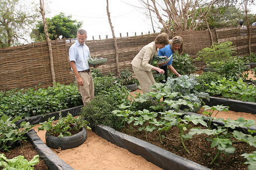 Mrs. Laura Bush and Ms. Jenna Bush pick vegetables during their visit to the Fann Hospital garden Tuesday, June 26, 2007, in Dakar, Senegal. They toured the hospital garden with Steve Bolinger, former Peace Corps volunteer and co-founder of Development in the Garden. The garden provides fresh vegetables and an opportunity for patients to garden. White House photo by Shealah Craighead