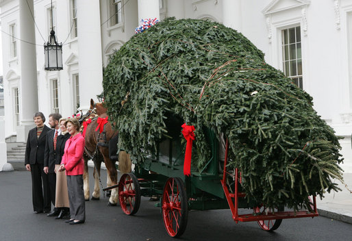 Mrs. Laura Bush welcomes the arrival of the official White House Christmas tree Monday, Nov. 26, 2007, to the North Portico of the White House. The 18-foot Fraser Fir tree, from the Mistletoe Meadows tree farm in Laurel Springs, N.C., will be on display in the Blue Room of the White House for the 2007 Christmas season. Joining Mrs. Bush, from left are, Beth Walterscheidt, president of the National Christmas Tree Association, and Joe Freeman and his wife Linda Jones of Mistletoe Meadow tree farm in Laurel Springs, N.C. White House photo by Chris Greenberg