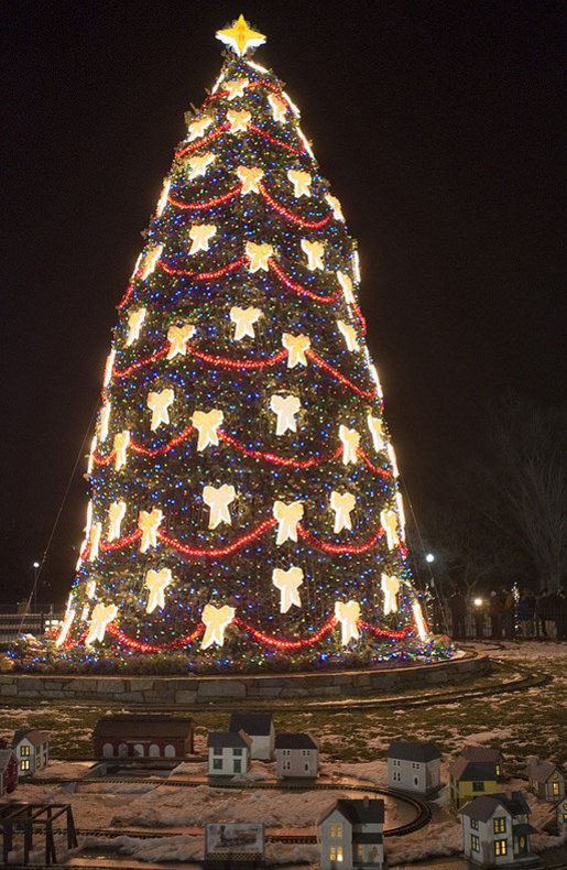 The National Christmas Tree is lit on the Ellipse in Washington, D.C., Thursday, Dec. 6, 2007. White House photo by Joyce N. Boghosian