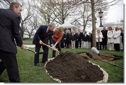 President George W. Bush and Mrs. Laura Bush shovel dirt to plant a Scarlet Oak tree Wednesday, April 9, 2008, at the commemorative tree planting on the North Lawn of the White House. The tree is being planted to replace a tree that fell on October, 25, 2007, a Scarlet Oak that had been planted in 1892 by President Benjamin Harrison. Relatives of President Benjamin Harrison were invited to join the President and Mrs. Bush at the tree planting ceremony, Harrison's great-grandson, Ben Walker, is seen at left. White House photo by Eric Draper