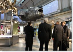 President George W. Bush views a North Atlantic whale model entitled 'Phoenix' in the new Sant Ocean Hall as he is escorted by Christian Samper, Director of the Smithsonian Museum of Natural History, right, Friday, Sept. 26, 2008, during his visit to the Smithsonian Museum of Natural History in Washington, D.C. President Bush is joined by Chief Justice of the Supreme Court John Roberts, far left, and Wayne Clough, Secretary of the Smithsonian Institution, left. White House photo by Eric Draper