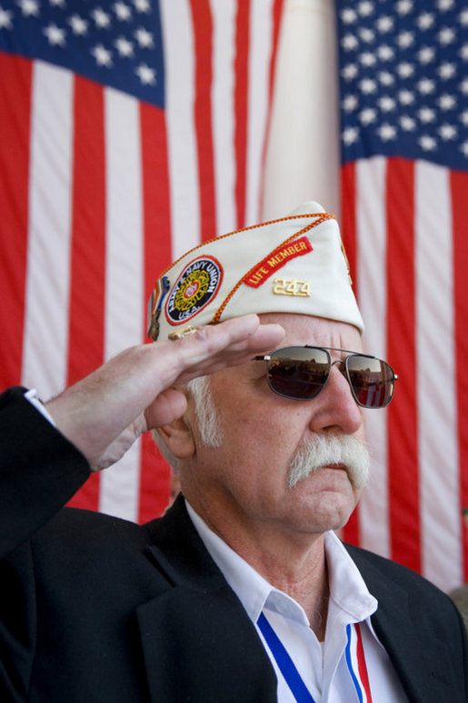 Veteran Lloyd Gibbs of the Army/Navy Union USA salutes Tuesday, Nov. 11, 2008, during Veterans Day ceremonies at Arlington National Cemetery in Arlington, Va. 