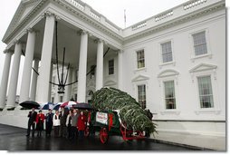 Mrs. Laura Bush welcomes the arrival of the official White House Christmas tree Sunday, Nov. 30, 2008, to the North Portico of the White House. The Fraser Fir tree, from the River Ridge Farms in Crumpler, N.C., will be on display in the Blue Room of the White House for the 2008 Christmas season. Joining Mrs. Bush, from left are, Mark Steelhammer, president of National Christmas Tree Association, his wife Luanne, Carol Pennington, Ann Estes, Russell Estes of River Ridge Farms in Crumpler, NC, Michelle Davis, and Jessie Davis of River Ridge Farms in Crumpler, NC. White House photo by Joyce N. Boghosian