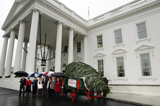 Mrs. Laura Bush welcomes the arrival of the official White House Christmas tree Sunday, Nov. 30, 2008, to the North Portico of the White House. The Fraser Fir tree, from the River Ridge Farms in Crumpler, N.C., will be on display in the Blue Room of the White House for the 2008 Christmas season. Joining Mrs. Bush, from left are, Mark Steelhammer, president of National Christmas Tree Association, his wife Luanne, Carol Pennington, Ann Estes, Russell Estes of River Ridge Farms in Crumpler, NC, Michelle Davis, and Jessie Davis of River Ridge Farms in Crumpler, NC. White House photo by Joyce N. Boghosian