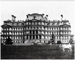 President William Howard Taft's cow, Pauline, poses in front of the Navy Building, which is known today as the Eisenhower Executive Office Building. Pauline was the last cow to live at the White House and provided milk for President Taft (1909-13). 