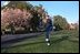 President Bush warms up his pitching arm under the glow of Magnolia trees on the South Lawn April 3, 2001. 