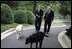 Vice President Dick Cheney is joined by his dogs Dave, left, and Jackson, right, during an interview with John King of CNN, Thursday, June 22, 2006, at the Vice President’s Residence at the Naval Observatory in Washington D.C.