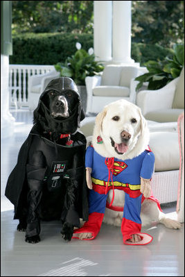 Vice President Dick Cheney's Labrador retrievers Jackson, left, and Dave, right, prepare for Halloween, Tuesday, Oct. 30, 2007, as they sit for a photograph at the Vice President's Residence at the Naval Observatory in Washington, D.C. Jackson is dressed as Darth Vader, Dave is dressed as Superman.