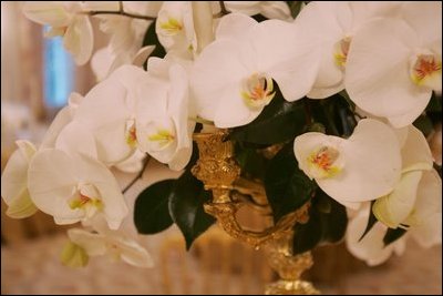 Specially designed table flower arrangements are seen, Wednesday, Nov. 2, 2005, in the White House State Dining Room, in preparation for the official dinner for the Prince of Wales and Duchess of Cornwall.