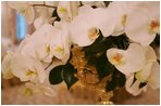 Specially designed table flower arrangements are seen, Wednesday, Nov. 2, 2005, in the White House State Dining Room, in preparation for the official dinner for the Prince of Wales and Duchess of Cornwall.